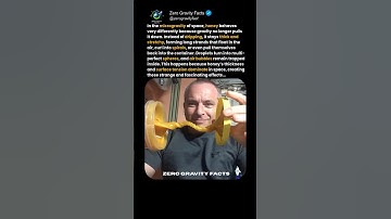 Watch Honey Defy Gravity in Space!