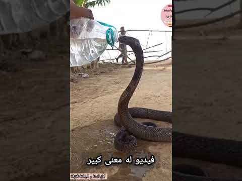 فيديو له معنى كبير
