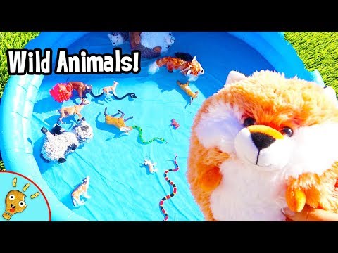 Educational Learn Ranch and Wild Animals in Mini Blue Pool Water by Squishee Nugget