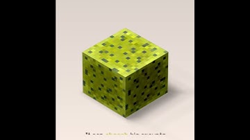 How to use Sponge in Minecraft🔥|| #shorts #minecraft #shortvideo