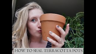 Terracotta pots | How & Why I Seal Them