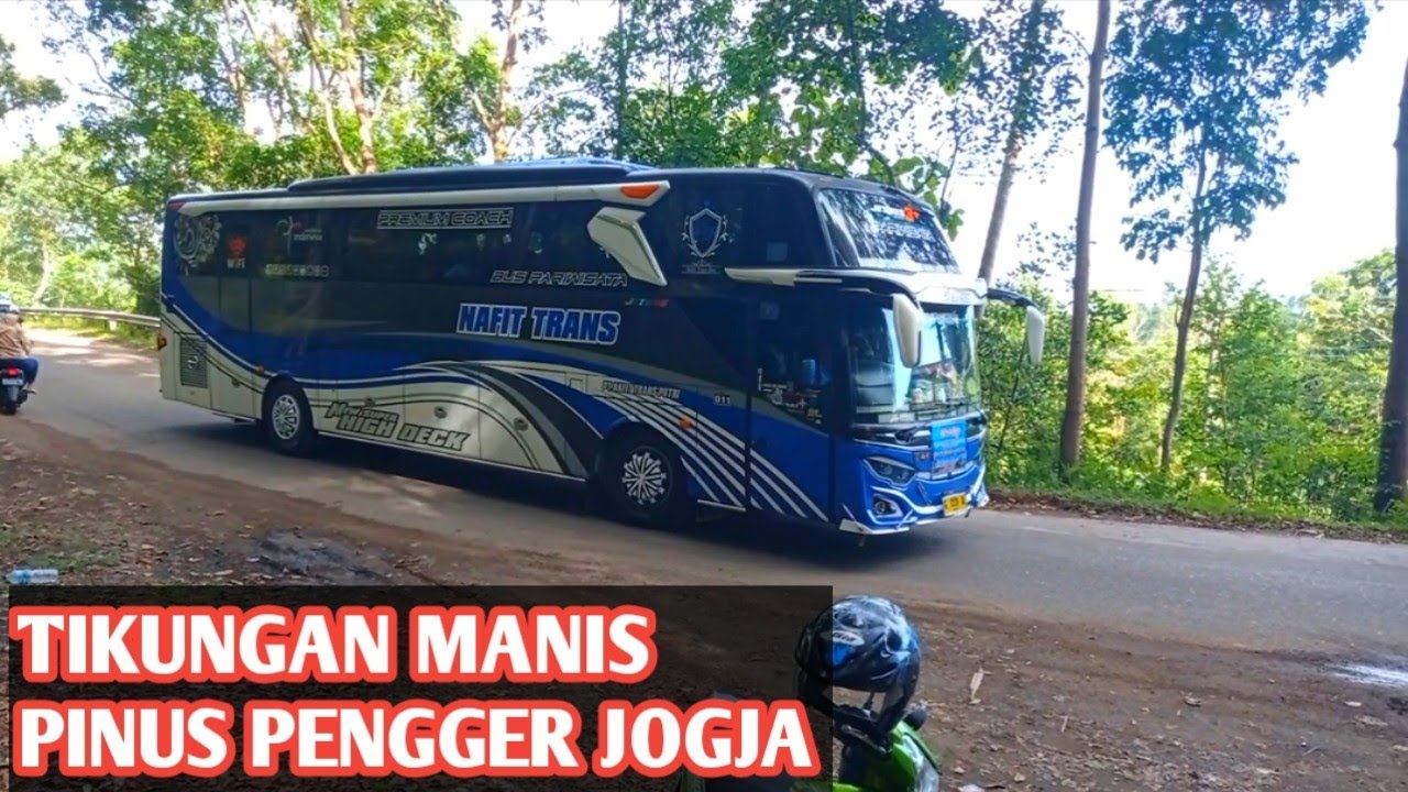 HUNTING BUS PARIWISATA DI TIKUNGAN PINUS PENGGER JOGJA