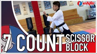 6 Count Scissors Block