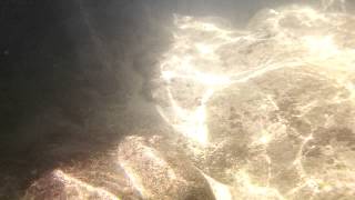 Underwater Pinch The Baths, Virgin Gorda