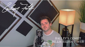 Halley's Comet | Billie Eilish Cover