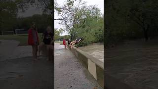 Flood Swim!