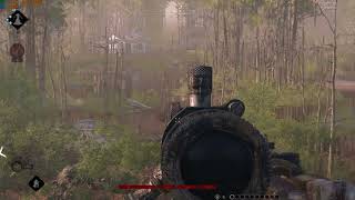 Hunt  Showdown | Hit reg?