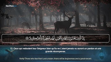 Sourate Al Mulk - Yahya Sidqi  سورة الملك يحيى صدقي