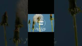 Ruth B. - Dandelions | Whatsapp Status