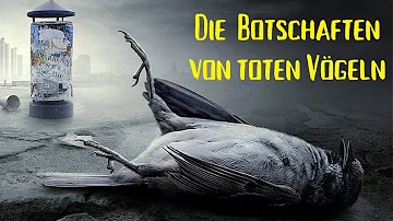 Welcher Vogel steht für Tod?