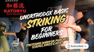 KATORYU Unorthodox Striking: The Complete Beginner Masterclass (初心者)
