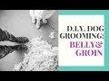 GoPro View! DIY Dog Grooming: Belly and Groin