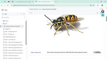 OWASP Docker Top 10 Explanation #owaspDocker #owasptop10 #devsecops #owasp 