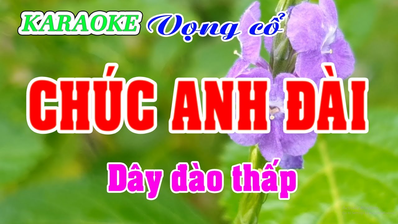 Karaoke _  Chúc Anh Đài _  Dây Đào Thấp