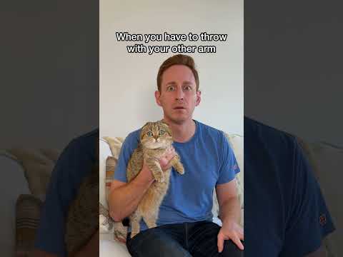 The judgment is real