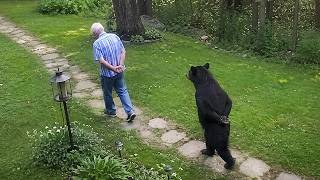 These DRAMATIC Bears Accidentally Make a Big Deal Out of Everything 🤣