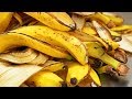 Dopo Aver Visto Questo non Getterai Mai Più a Terra La Buccia di Banana