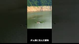 2026 8 26手取川ダム貯水率17 8% #shorts #手取川ダム #手取川 #石川県