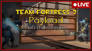 Last Payload stream before my vacation! - Team Fortress 2 Last Payload stream before my vacation! - Team Fortress 2