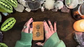 If Your Person Is Dealing With A Third Party Energy This Reading Is For You  Timeless Reading