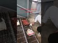 #prisonlife #foodvideos #foodie #foodie #viralfood #fypシ゚viral
