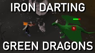 Ranging Green Dragons - GP & XP | 2004scape - Lost City
