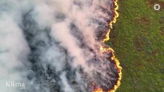Die Folgen sommerlicher Hitzewellen | KlimaZeit