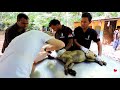Dog choking on his own blood rescued after accident.