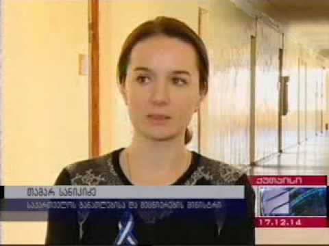 თამარ სანიკიძემ ამერიკული საბაკალავრო პროგრამების შესახებ ქუთაისში შეხვედრა გამართა