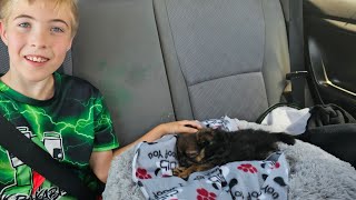 We Got a New Puppy!