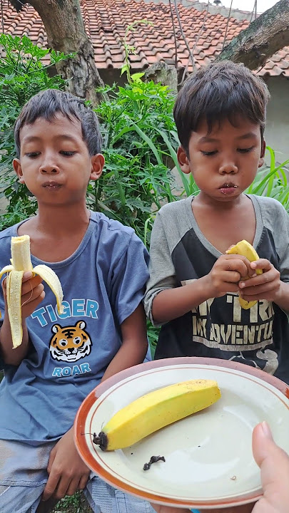 Lomba makan pisang bocil lucu