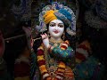 जब कोई नहीं आता, मेरे श्याम आते हैं 🙏 | #KrishnaBhajan #MereShyam #BhaktiSong #RadheRadhe #ytshorts