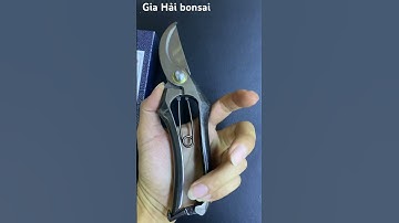 Kéo cắt cành chữ A bông lúa