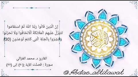 القارئ د. محمد الغزالي قراءة هادئة من سورة فصلت