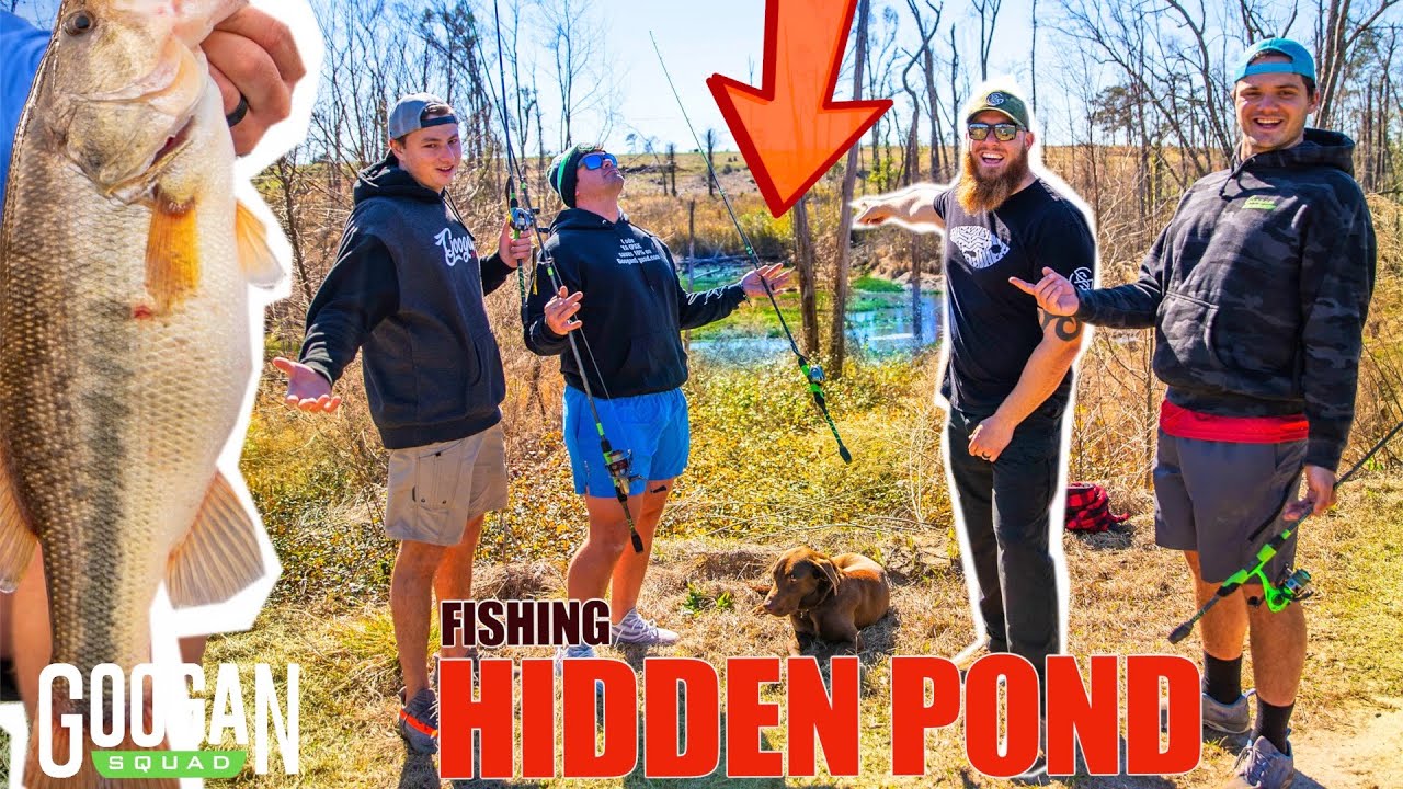 Гуганы, ловите рыбу в скрытом болотном пруду! (Испытание 2 на 2)