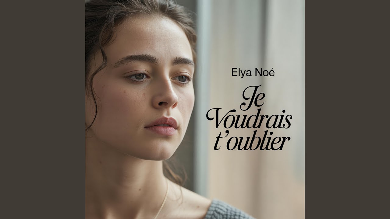 Je voudrais t’oublier