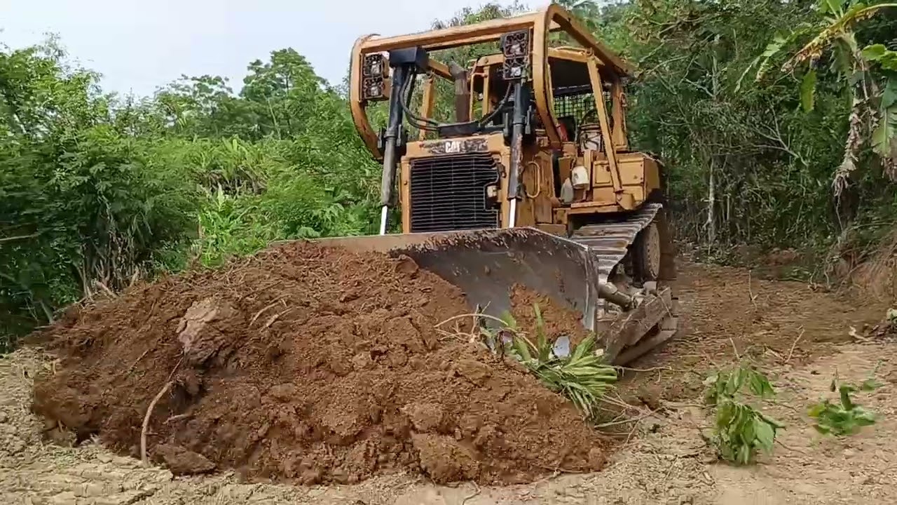 Excellent Work CAT D6R XL Bulldozer Operator Works to Smooth Plantation Roads