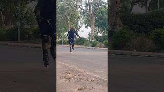 Speed Usain Bolt #goviral #skating #roadskating #automobile #skatingchannel #usa