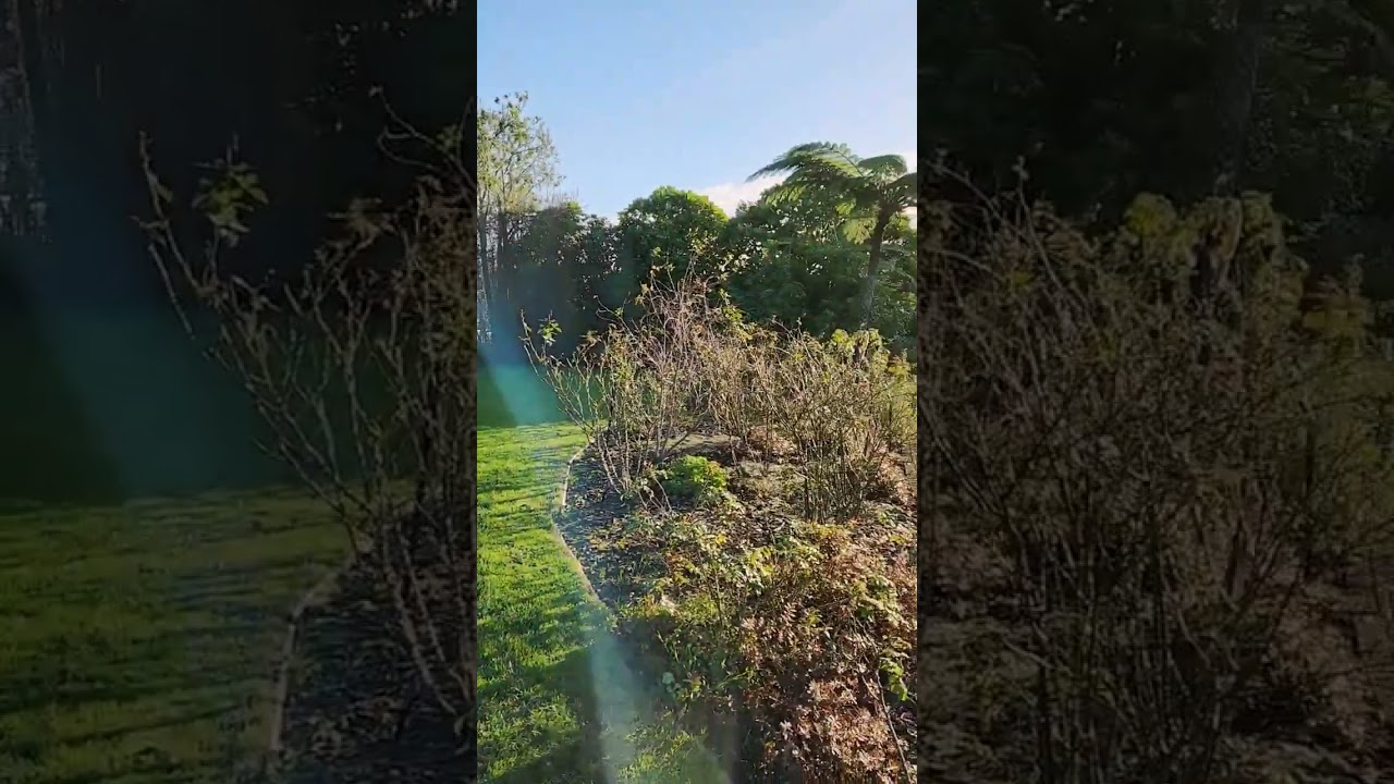 Wedding Garden Shoot Location! 📸🌹 | The Wedding Planner