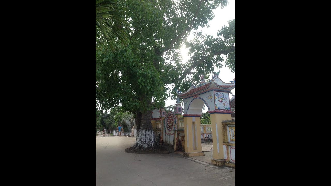 GIAO LƯU VĂN NGHỆ RA MẮT CLB DƯƠNG SINH, DÂN VŨ   XÓM 9   XÃ HẢI ĐƯỜNG