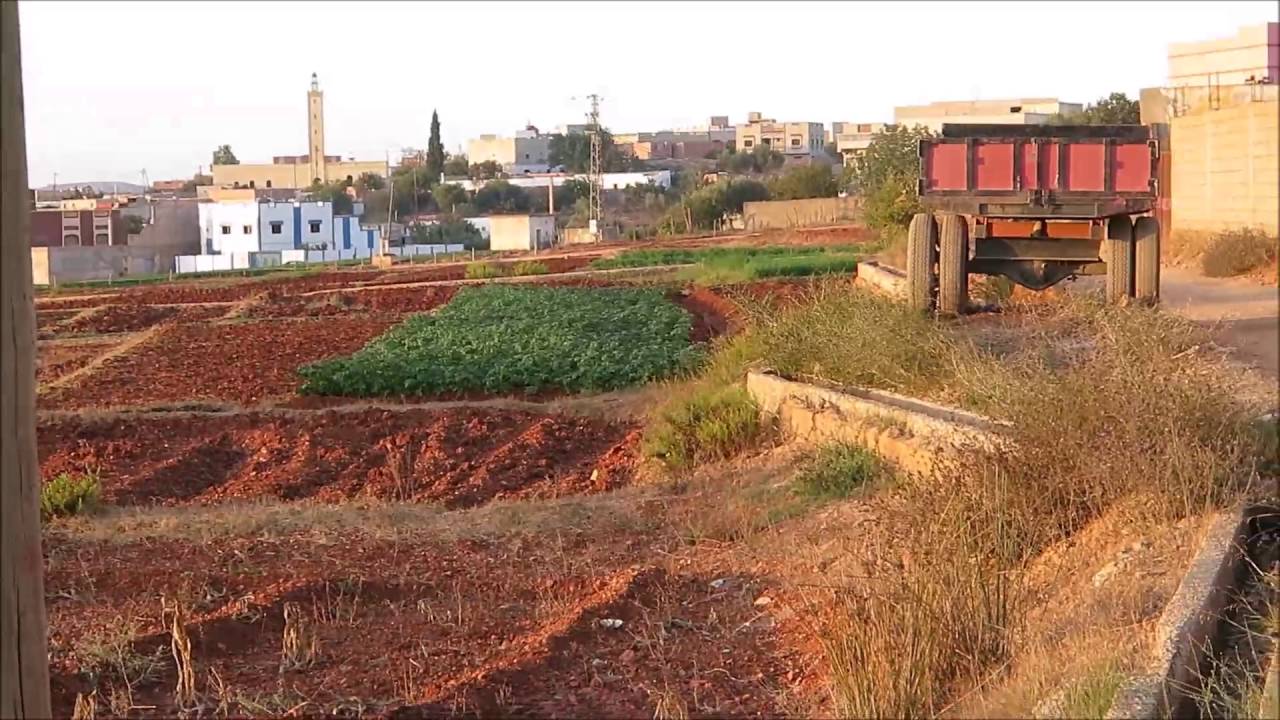 جولة الى مدشر معمران جماعة بودينار قبيلة تمسمان أقليم الدريوش 09 10 2016   MOROCCO TAMSAMAN