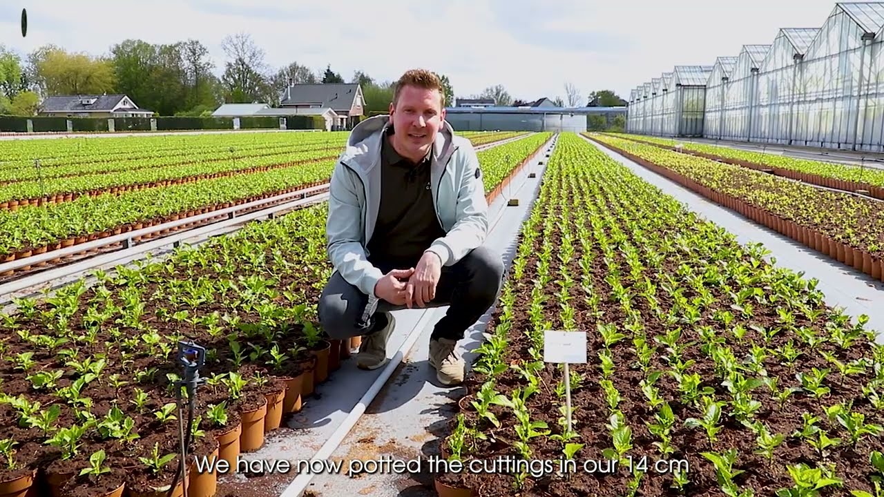 Grower of the Month May: The Mastergrowers