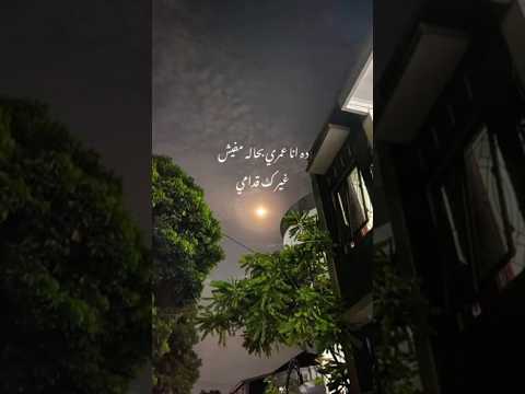 ده انا عمري بحاله مفيش غيرك قدامي