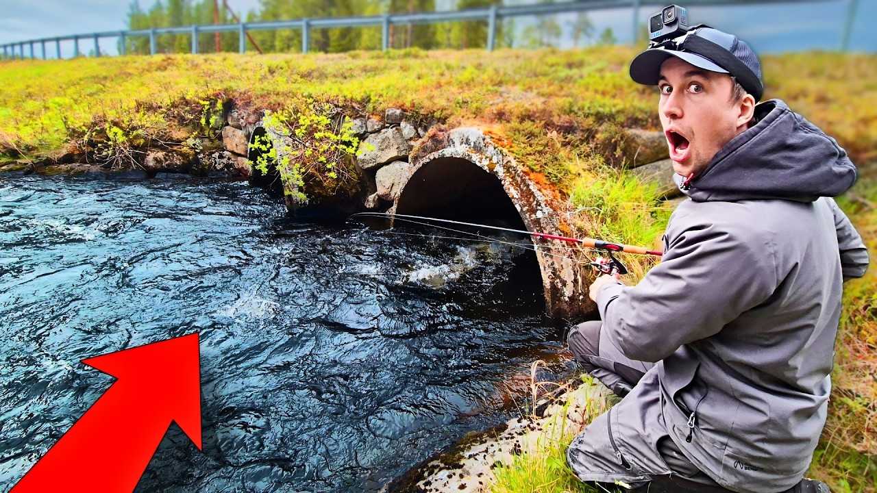 SJUKT FISKE I EN AVLÄGSEN Å & TRÄSK ‼️ Mitt Ute I Ingenstans - Two Hunters