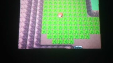 Live shiny Phanpy+shiny patch!