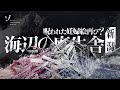 呪われた妊婦絵再び？新潟の謎多き海辺の廃牛舎に迫る！