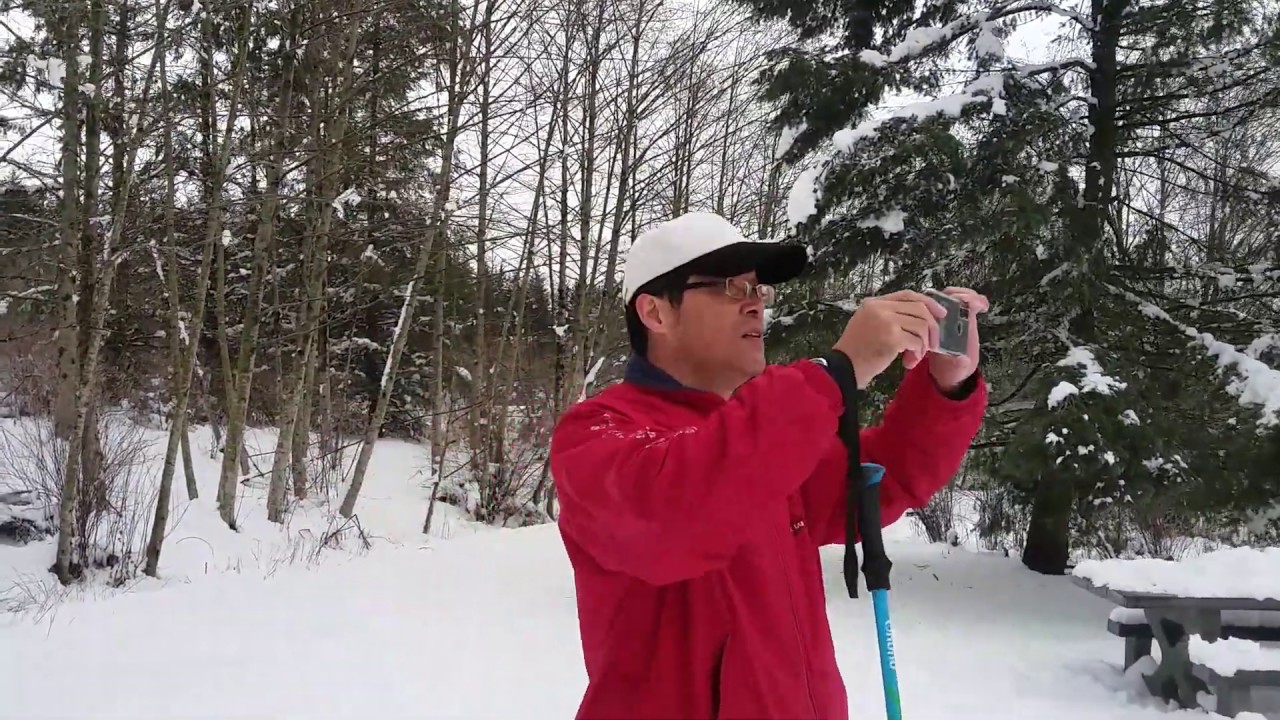 Greentimber frozen lake