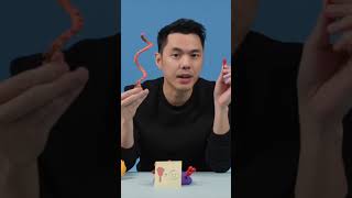 How do mRNA vaccines, like the COVID vaccine, work? #animation #claymation #vaccine #covid #science