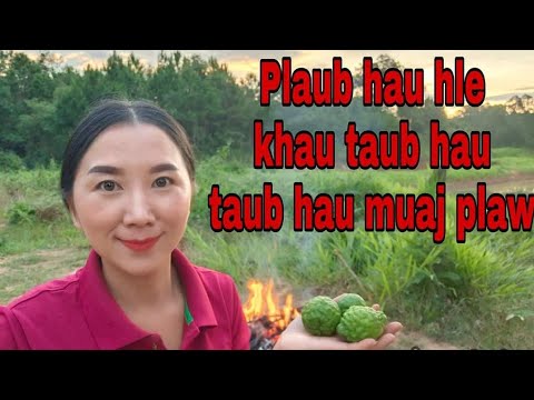 Video: Mytnik Plaub Hau