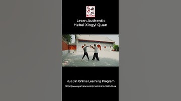 Dragon Kung Fu Applications Glimpses #shorts #xingyiquan #kungfu